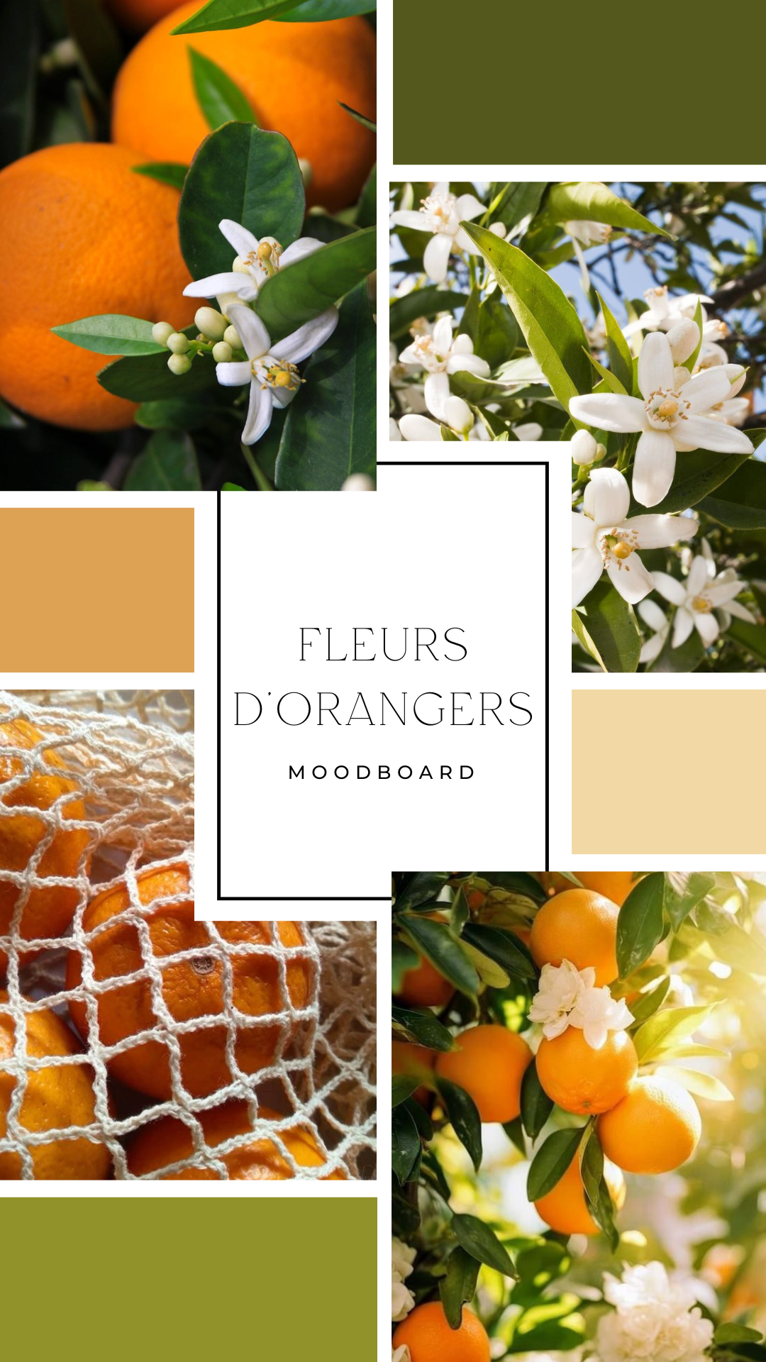 Palet fondant - Fleur d'oranger