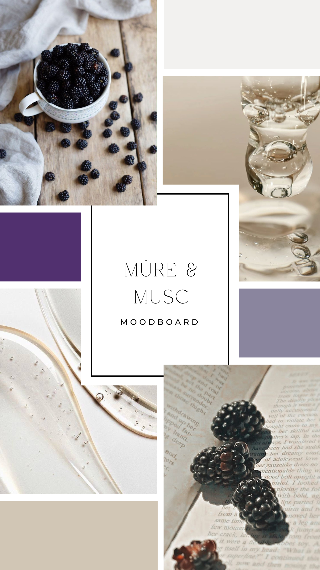 Palet fondant - Mûre & musc