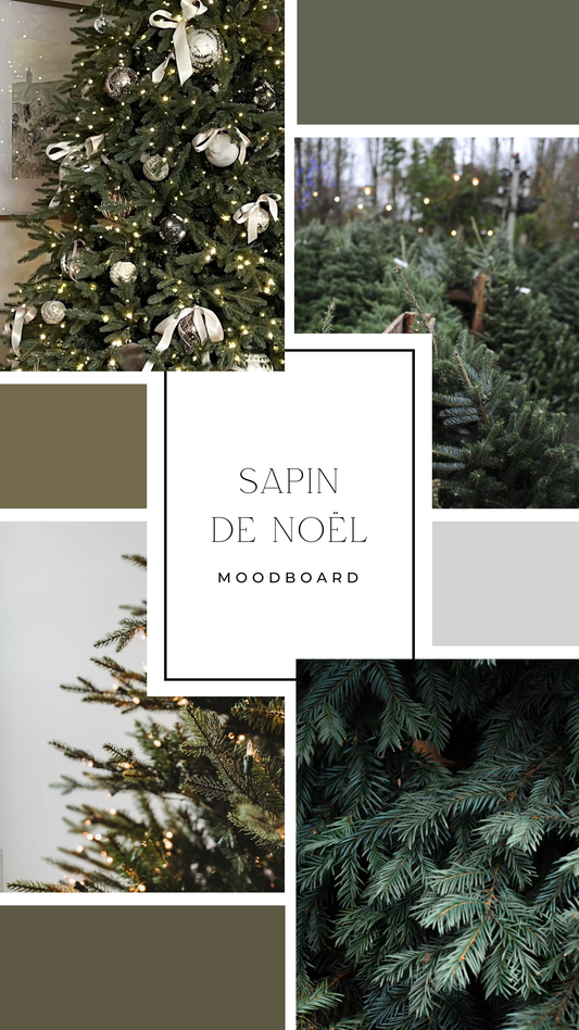 Palet fondant - Sapin de Noël