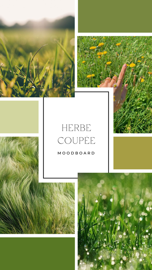 Palet fondant - Herbe coupée