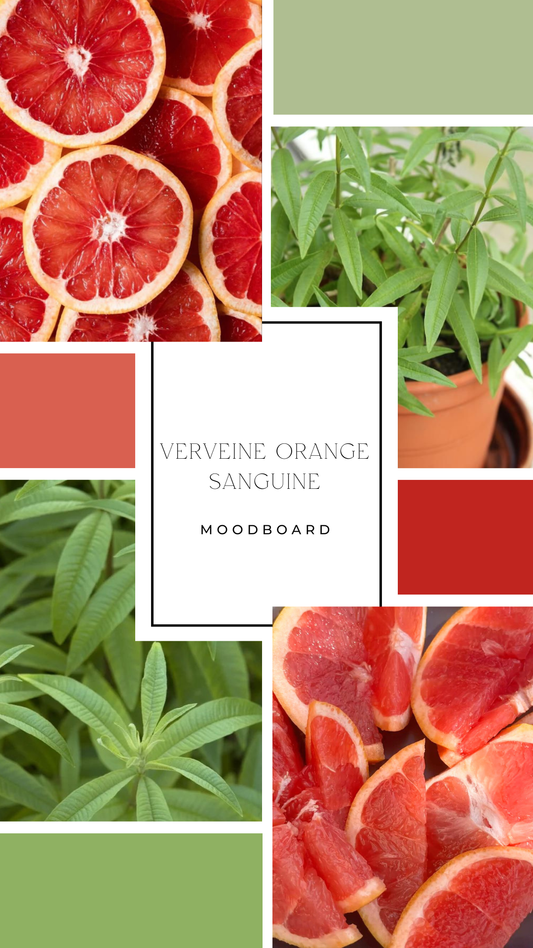 Palet fondant - Verveine & Orange sanguine