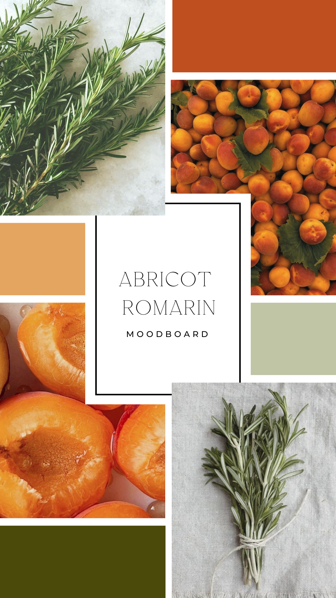 Palet fondant - Abricot & romarin