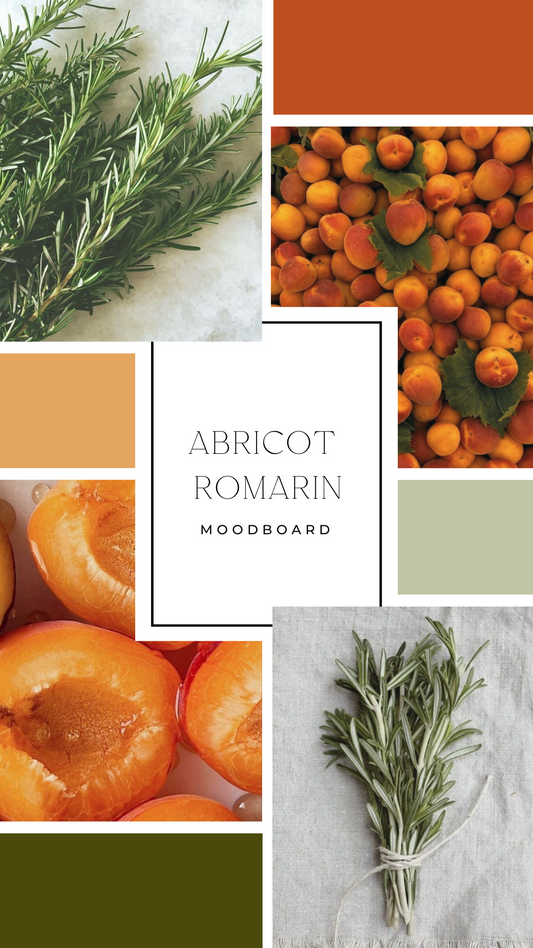 Palet fondant - Abricot & romarin