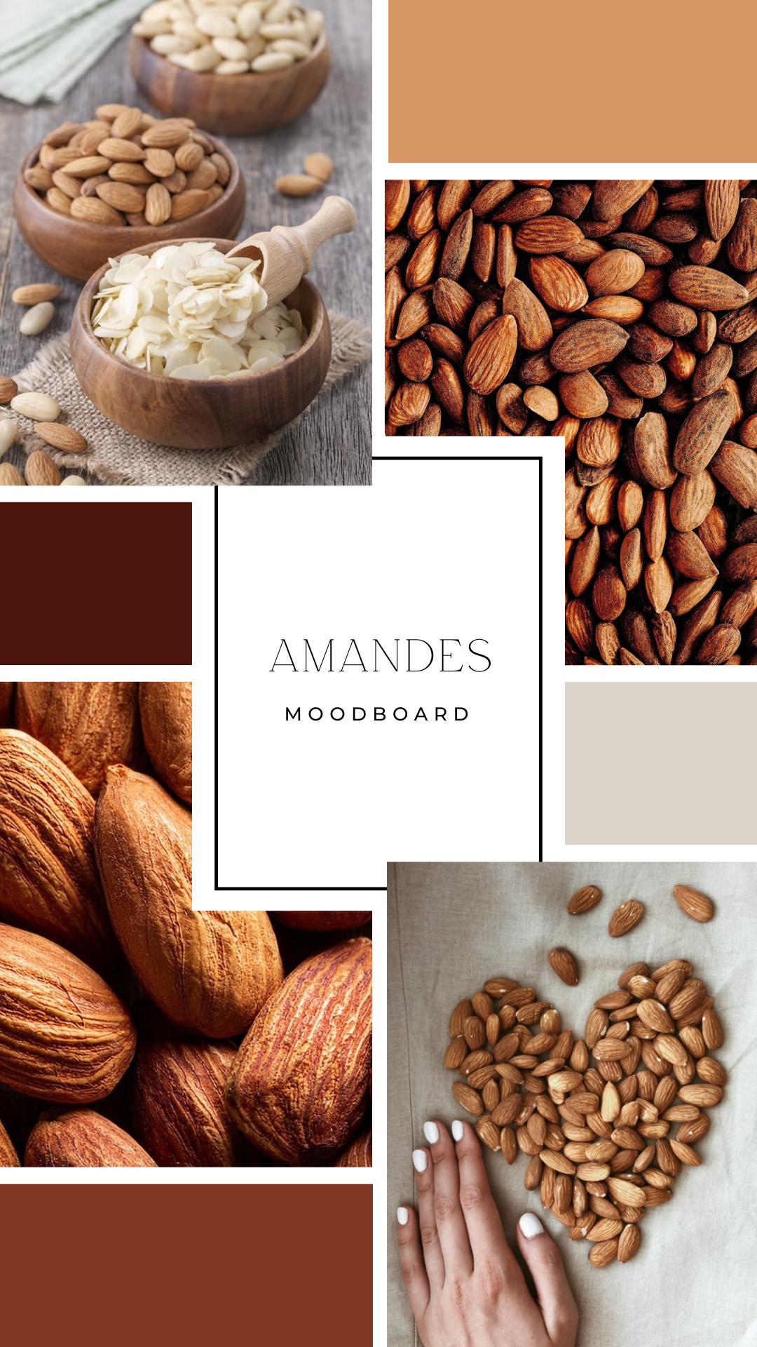 Palet fondant - Amandes