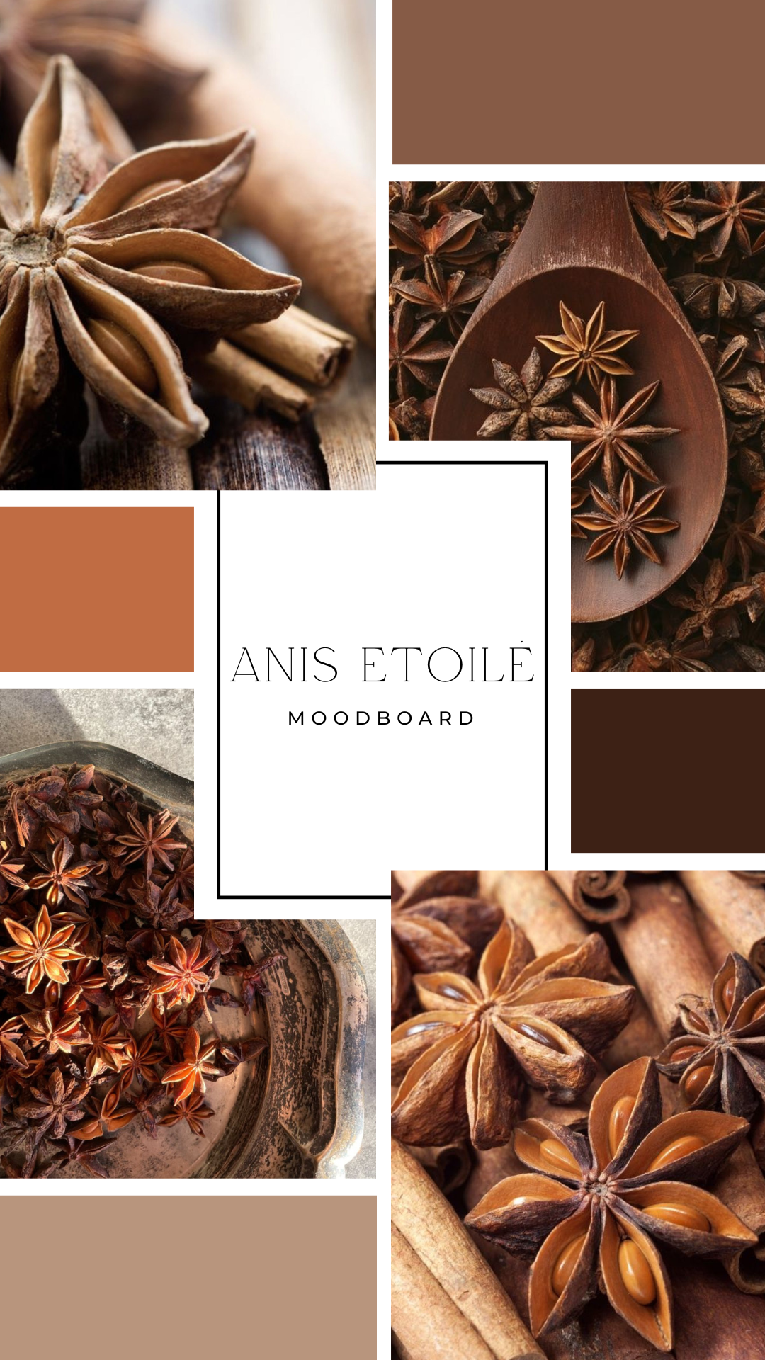 Palet fondant - Anis étoilé