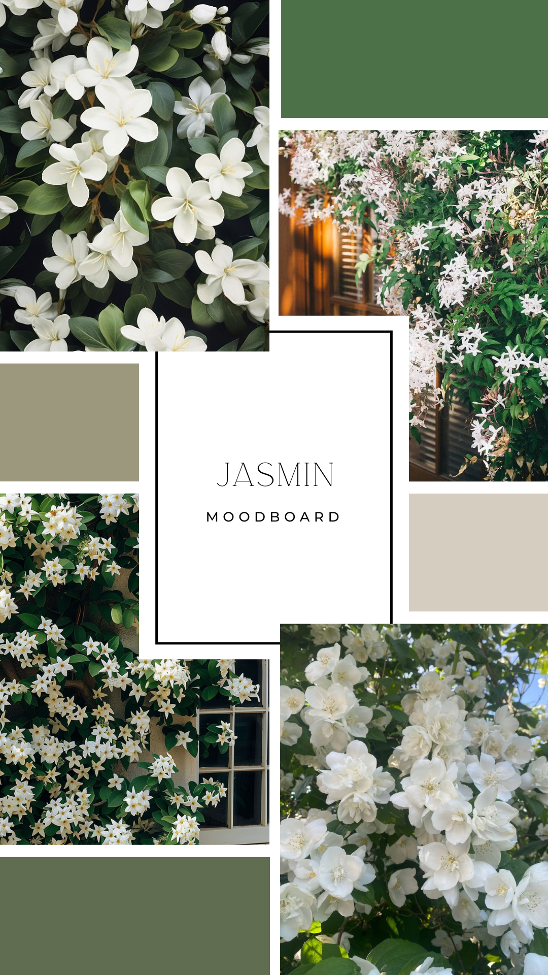 Poudre pour aspirateur - Jasmin