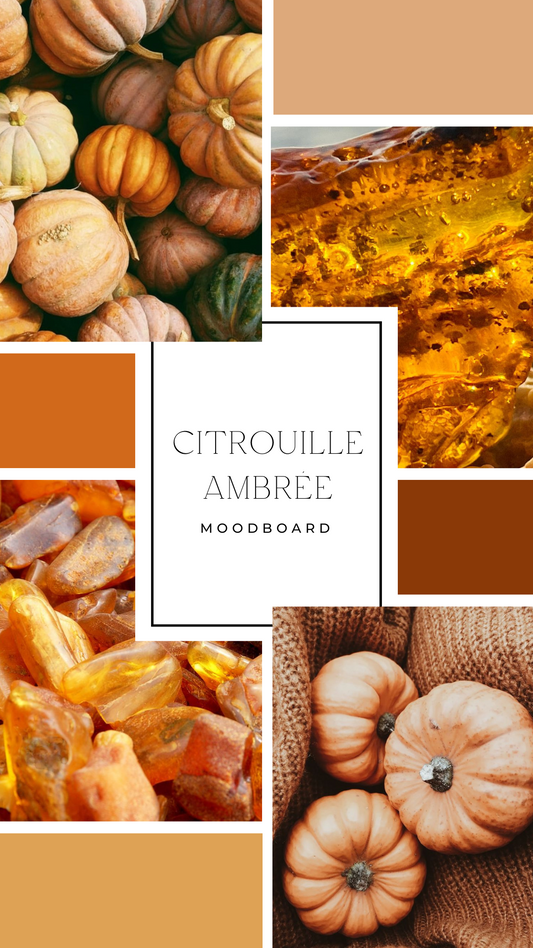 Palet fondant - Citrouille ambrée