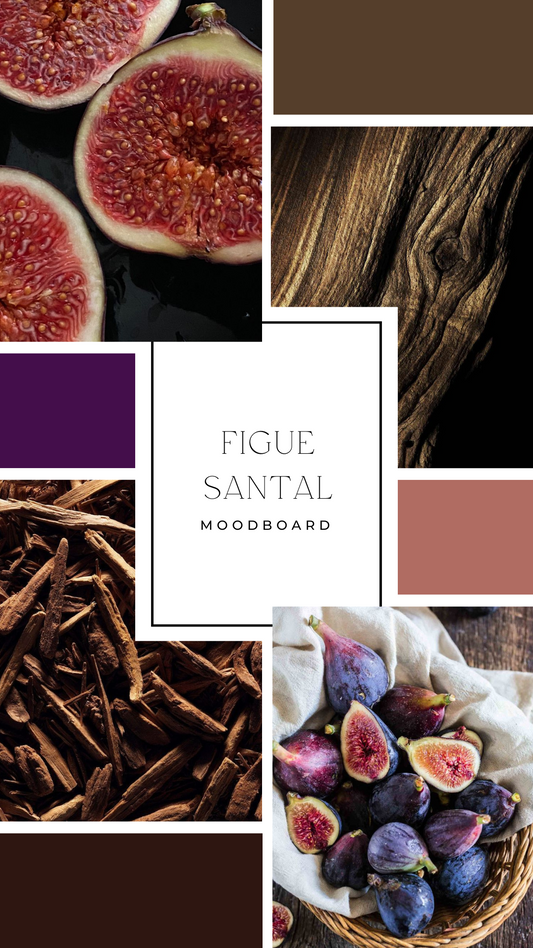 Palet fondant - Figue & santal