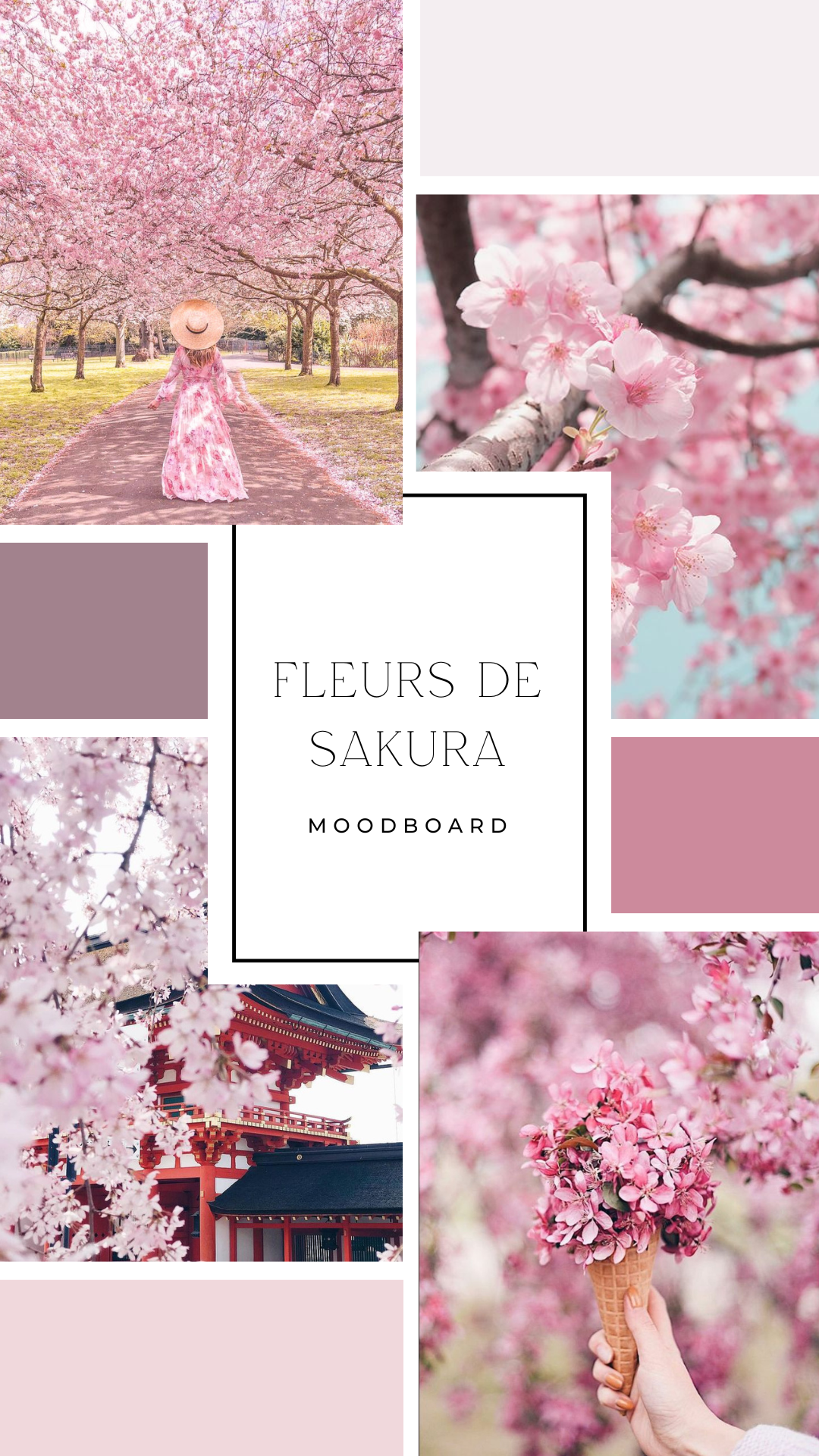 Palet fondant - Fleurs de Sakura