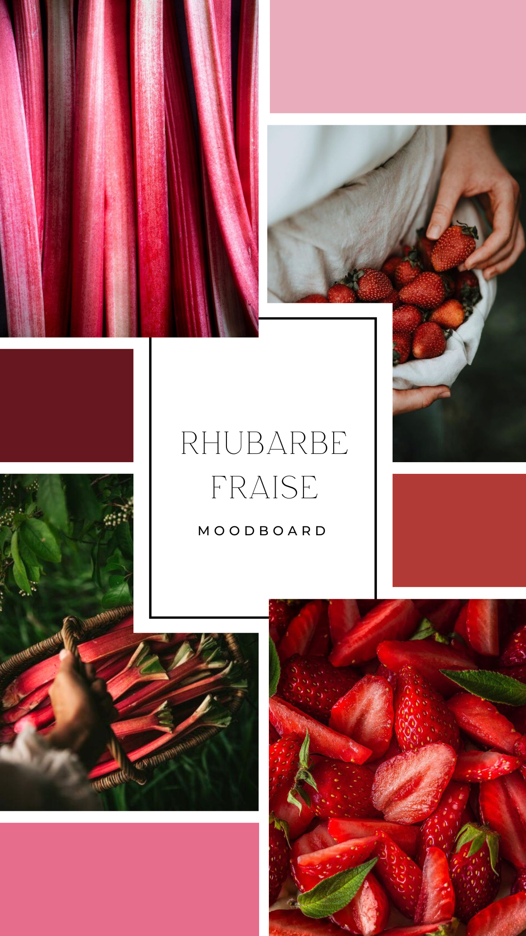 Palet fondant - Rhubarbe & fraise