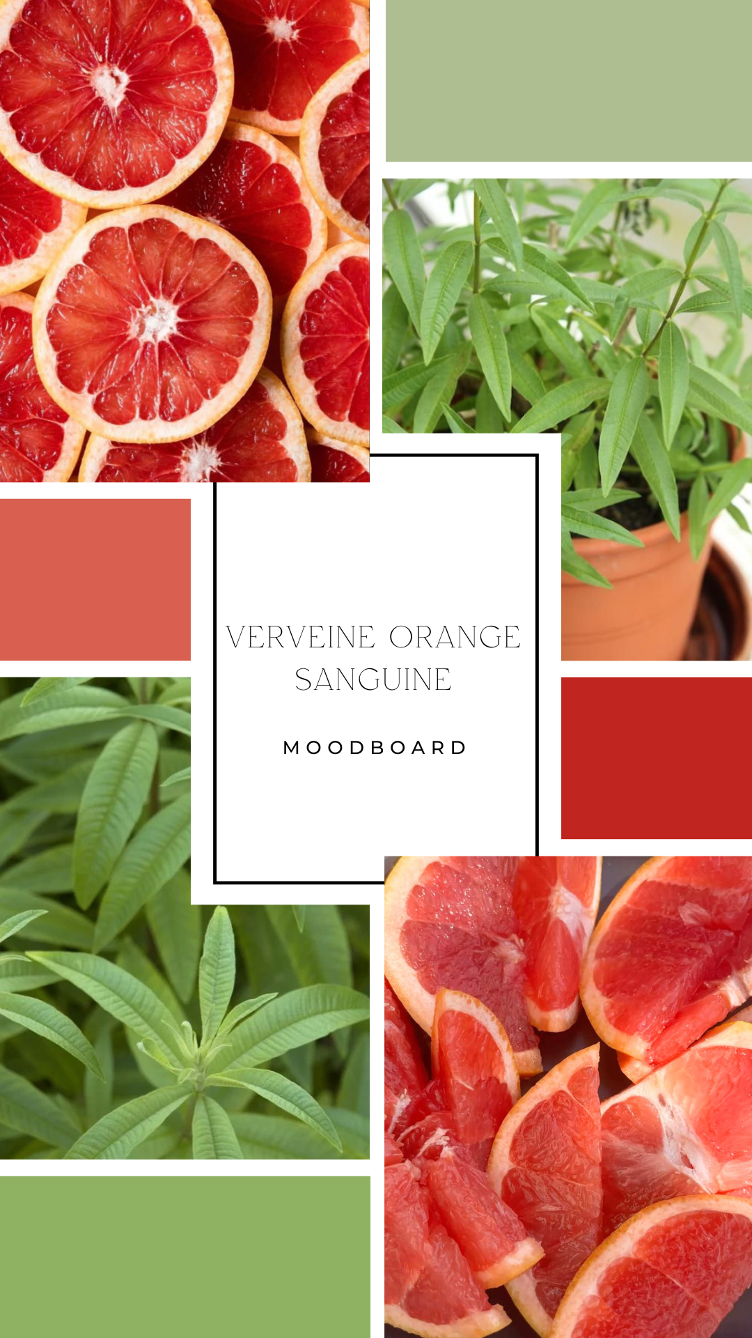 Palet fondant - Verveine & Orange sanguine