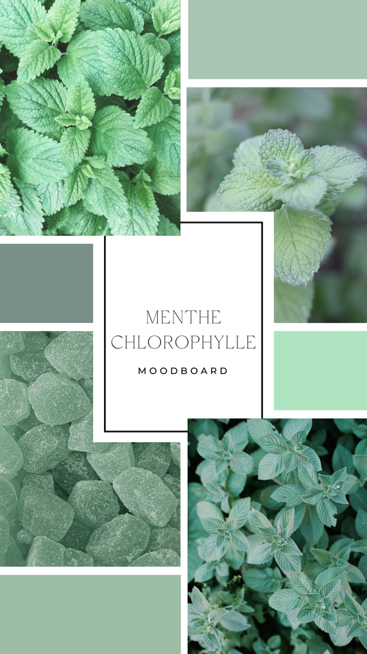 Palet fondant - Menthe chlorophylle