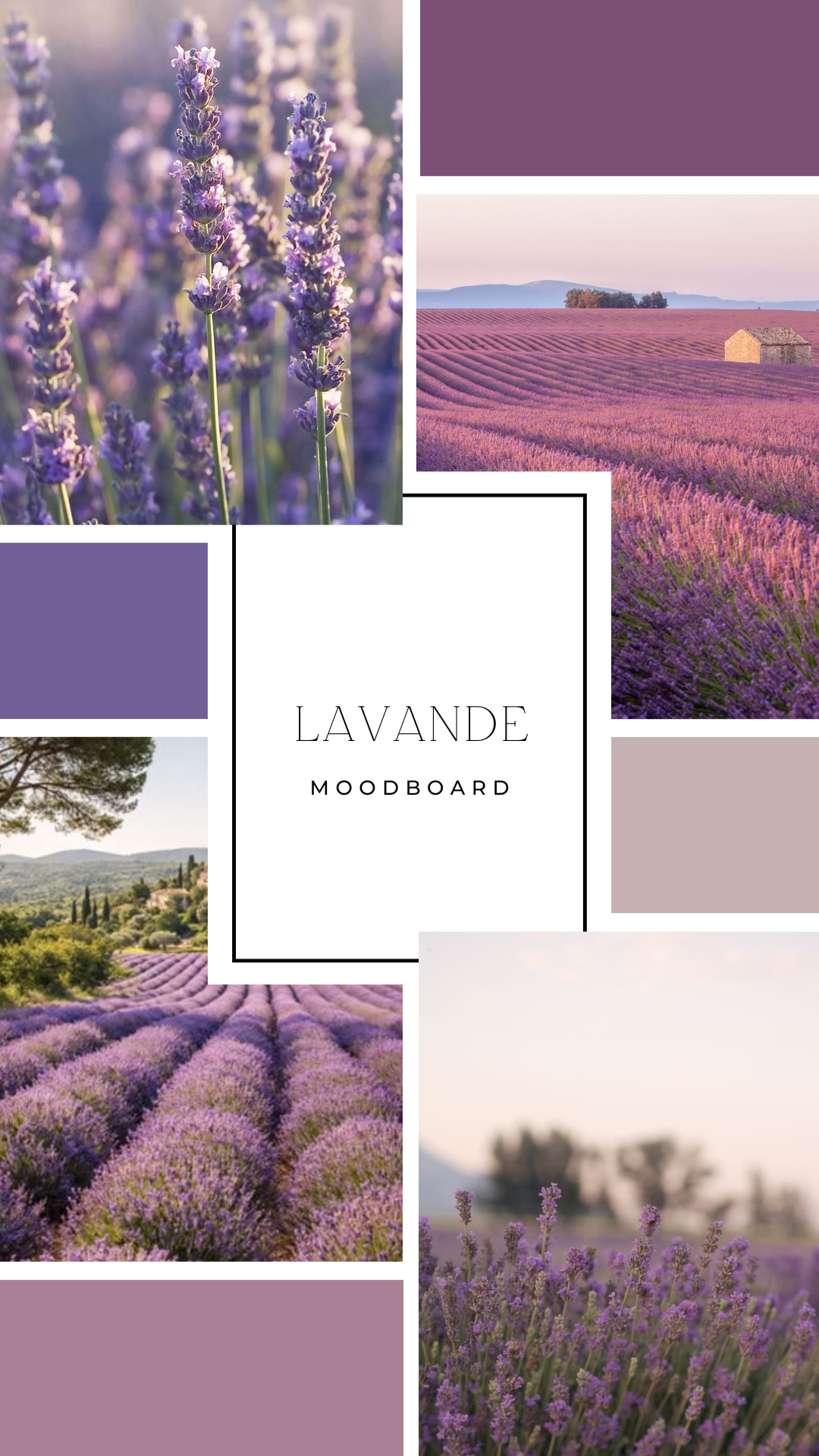 Palet fondant - Lavande
